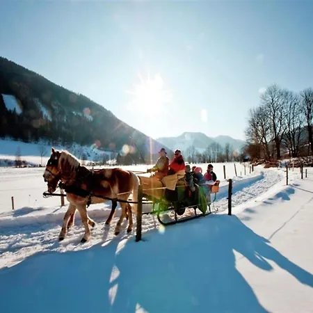 Dom wakacyjny In Nahe Skipisten *