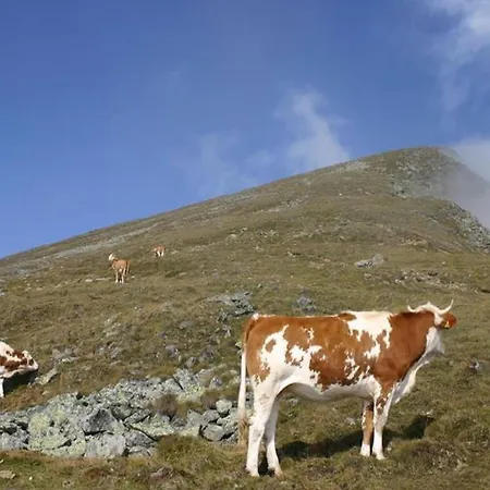 In Nahe Skipisten * Scheifling