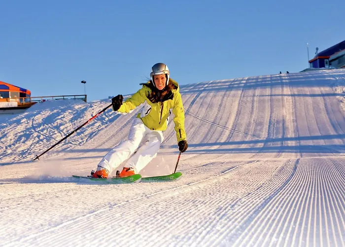 In Nahe Skipisten 度假居 *