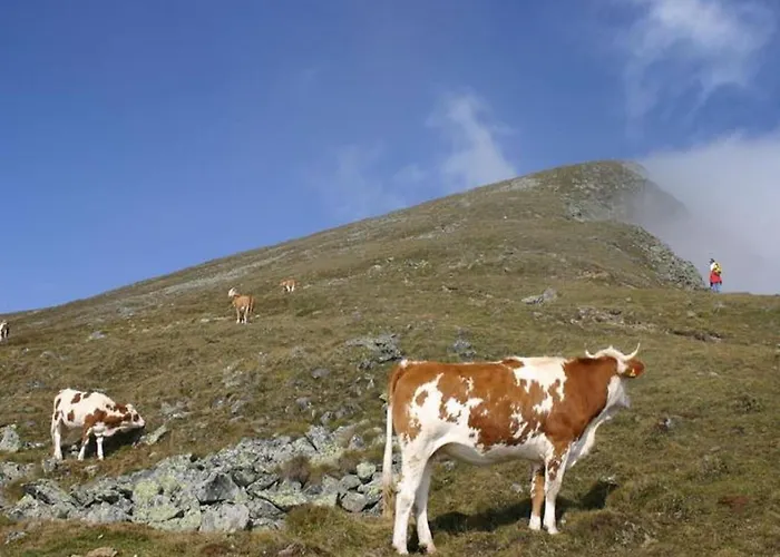 In Nahe Skipisten * Scheifling